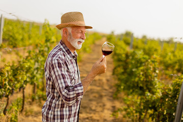 A vineyard caretaker admires a glass of wine amidst lush grapevines under the warm sun in the golden hour of late afternoon