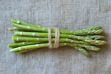 Fresh asparagus spears tied with twine
