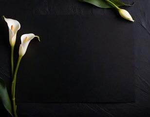 elegant white calla lily flowers on right side black empty paper on dark background.
Funeral condolence, card sympathy floral concept