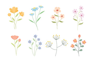 Collection of blooming flowers, showcasing minimalist designs and soft colors