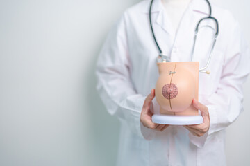 doctor holding Breast Anatomy model. Breast Augmentation Surgery, October Breast Cancer Awareness...