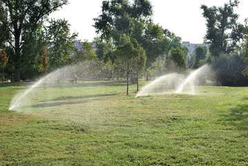 Automatic sprinkler system watering the lawn in the summer morning. Irrigation in the city park. Flying splashes of water falling on the grass. Rotating fountain. 