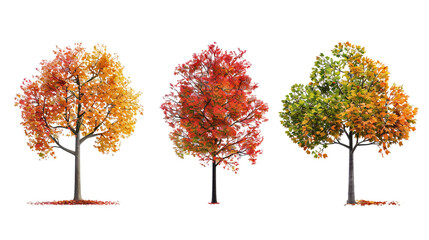 Three trees with different colored leaves, one is yellow, one is red on a transparent background
