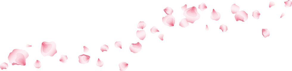 Wave flying rose petals transparent background. Beautiful floral overlay with lots of rose petals.