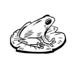 frog logo design nature for everyone