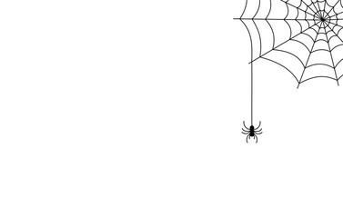 spider web for halloween design template isolated on white background