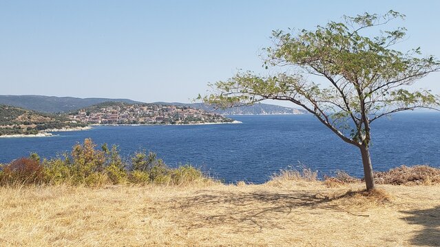 Sirthonia 