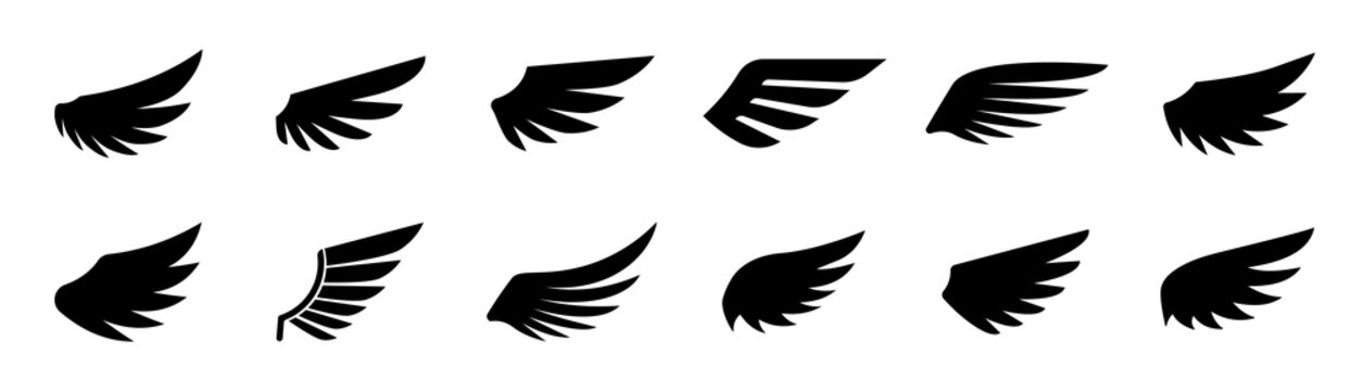 Wing icon set. Wing vector. Collection wings badges. Wing logo Vector illustration.