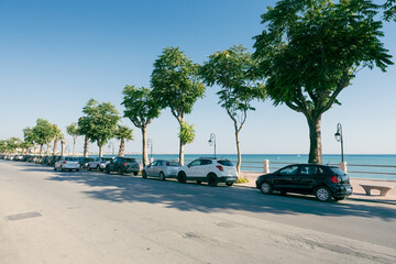 Seaside tree-lined road and parked cars