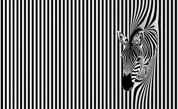 Z&egrave;bre en noir et blanc &eacute;mergeant d'un fond de rayures verticales, cr&eacute;ant une illusion d'optique fa&ccedil;on code barre espace n&eacute;gatif copyspace