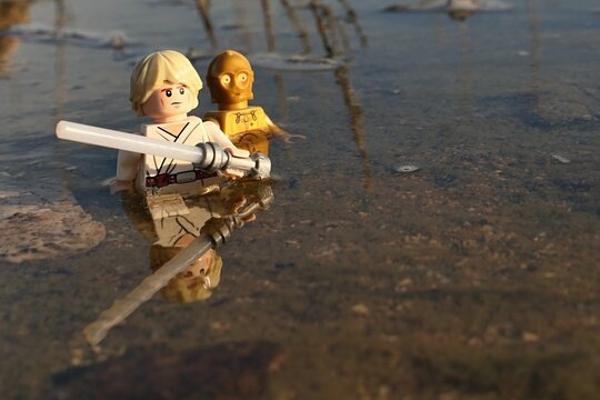 LEGO Star Wars figures of jedi knight Luke Skywalker with white lightsaber and golden android C3PO walking waist deep through waters of shoreline marsh.