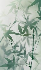 Serene Bamboo Leaves in Misty Background