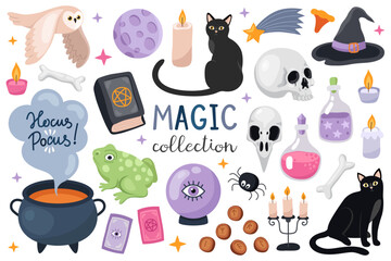 Magic collection. Set of magical Halloween illustrations. Witch cauldron, black cat, owl, magic crystal ball, frog, moon, book, candle, skull, witch hat, bones. Elements for Halloween design.