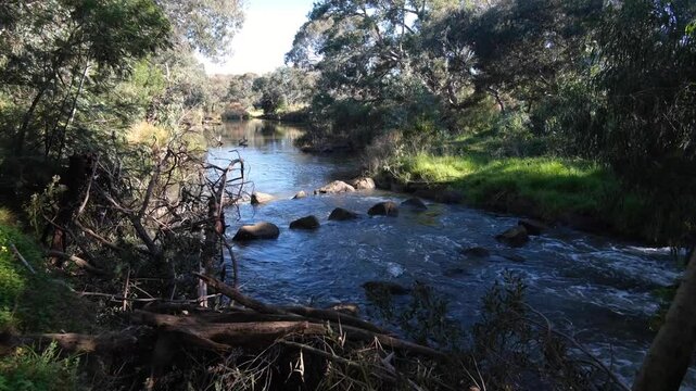 The historic Bluestone Ford at Werribee River, with a fishway, includes a series of rock steps and pools that create a pathway or ladder for fish to swim upstream. Victoria, Australia