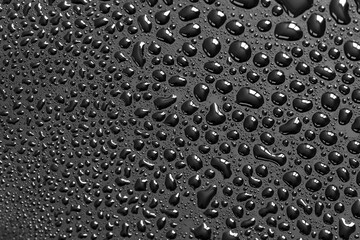 Water drops on a black background. Texture