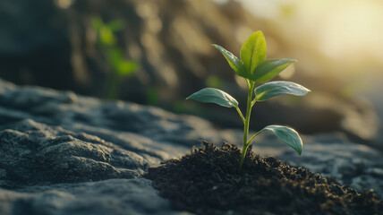 green plant