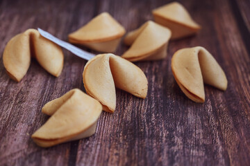 Fortune cookie opened, fortune cookie message