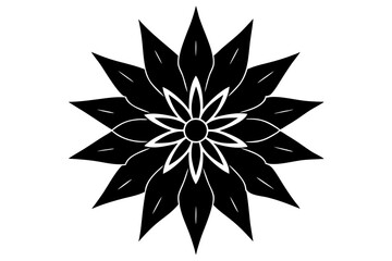 Obraz premium Edelweiss Silhouette on vector illustration with white background