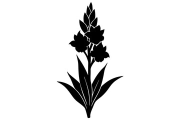 Fototapeta premium Gladiolus Silhouette on vector illustration with white background