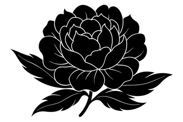 Fototapeta premium Peony Silhouette on vector illustration with white background.