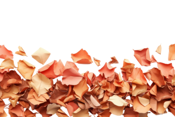 PNG Petal backgrounds abundance freshness.