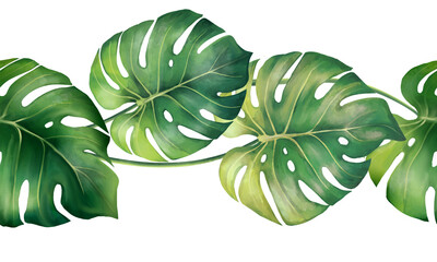 Tropical monstera leaves. Botanical illustration. Green seamless border © Gribanessa
