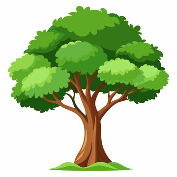 Beautiful tree Realistic on a white background.