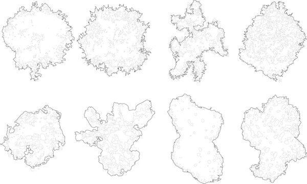 Tree plan outline silhouettes - top view 6