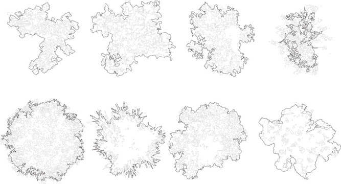 Tree plan outline silhouettes - top view 1