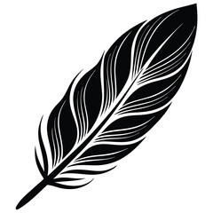 A delicate feather icon gently resting on a clean white background