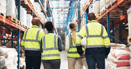Logistics, people and back with inventory in warehouse for supply chain, inspection and...