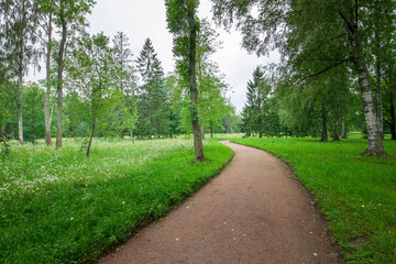 A winding path meanders through vibrant greenery, inviting morning walkers to explore the peaceful...