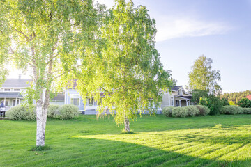 A house with a large tree in front of it