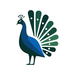 peacock on white vector art 