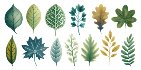 Leaf flower miniature silhouette set 10  on transparent background