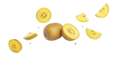 Fototapeta premium Fresh ripe kiwi gold fruit whole and slices falling in the air on white background with clipping path.