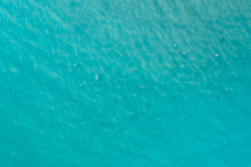 Aerial top view sea turtle floating on green blue water, Turkey summer travel