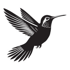 Obraz premium Hummingbird Silhouette Design, Calypte anna Clipart Design, Anna's Hummingbird in mid-air Illustration in black and white
