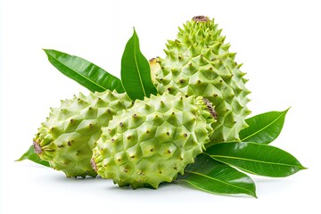 A cluster of spiky green fruits surrounded by green leaves.