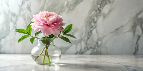 Delicate pink flower blooms in a clear glass vase, surrounded by lush green foliage, atop a white marble pedestal, against a soft, creamy background.