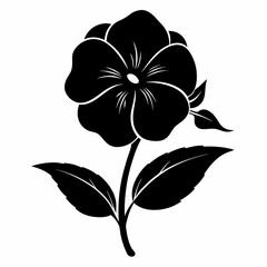 Impatiens flower Black silhouette