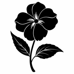 Impatiens flower Black silhouette