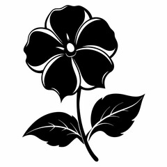Impatiens flower Black silhouette