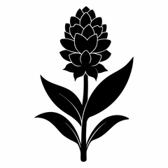 Hyacinth flower Black silhouette