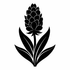 Hyacinth flower Black silhouette