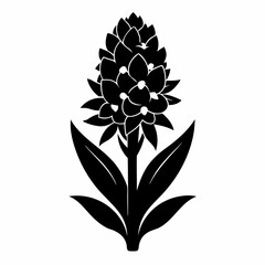 Hyacinth flower Black silhouette