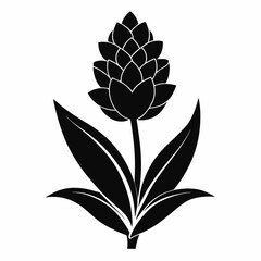 Hyacinth flower Black silhouette