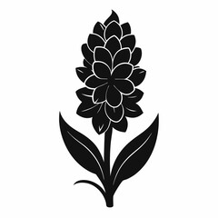 Hyacinth flower Black silhouette