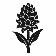 Hyacinth flower Black silhouette