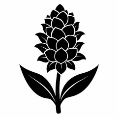 Hyacinth flower Black silhouette